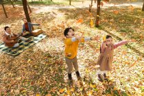 Высокий угол зрения счастливых детей, играющих с осенними листьями, в то время как родители отдыхают на клетчатой клетке в парке — стоковое фото