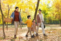 Feliz joven asiático familia con picnic cesta caminando juntos en otoño parque - foto de stock