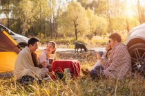 Cuatro asiático amigos beber té y hablando en camping lugar en otoñal bosque - foto de stock