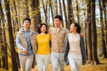 Cuatro jóvenes feliz asiático amigos abrazo y caminar en otoñal bosque - foto de stock