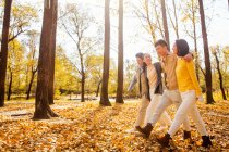 Four young happy asian friends hugging and walking in autumnal forest — Stock Photo