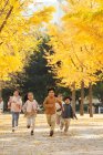 Пять очаровательных азиатских детей, бегающих в Осеннем парке — стоковое фото