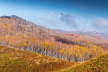 Красивый осенний пейзаж во Внутренней Монголии — стоковое фото