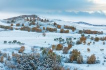 Hermoso paisaje de invierno en Mongolia Interior - foto de stock