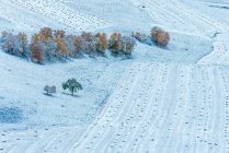 Красивый зимний пейзаж во Внутренней Монголии — стоковое фото