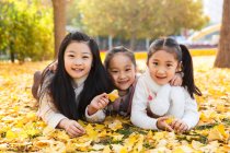 Trois adorables enfants asiatiques couchés sur feuillage jaune et tenant des feuilles dans le parc automnal — Photo de stock
