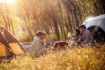 Quattro amici asiatici bere il tè e parlare in campeggio posto nella foresta autunnale — Foto stock