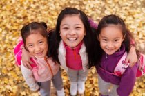 Blick aus der Vogelperspektive auf drei entzückend lächelnde asiatische Kinder, die sich im herbstlichen Park umarmen und in die Kamera schauen — Stockfoto