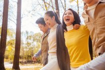 Vier junge glückliche asiatische Freunde umarmen und spazieren im herbstlichen Wald — Stockfoto