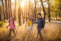 Vier asiatische Freunde wandern im herbstlichen Wald — Stockfoto