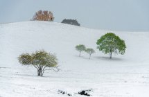 Wunderschöne Winterlandschaft in der inneren Mongolei — Stockfoto