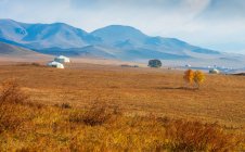 Beautiful autumnal landscape with yurts and field in Inner Mongolia — Stock Photo