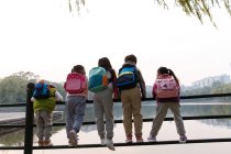 Vista posteriore di cinque bambini appoggiati sulla recinzione vicino al fiume nel parco autunnale — Foto stock