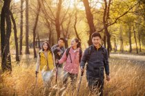 Четыре счастливых азиатских друга треккинг в осеннем лесу — стоковое фото