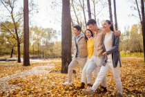 Чотири молоді щасливі азіатські друзі обіймаються і ходять в осінньому лісі — стокове фото