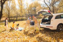 Asiatische Freundinnen und Freunde nehmen im herbstlichen Wald Sachen für ein Picknick aus dem Auto — Stockfoto