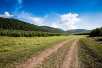 Empty rural road and beautiful green hills covered with lush vegetation at sunny day — Stock Photo