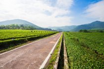 Empty asphalt road, lush green vegetation and scenic hills on horizon — Stock Photo