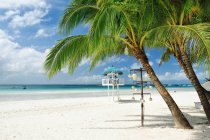 Hermosas palmeras en la playa de arena en la isla de Boracay, Filipinas
. - foto de stock