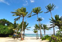 Belas palmeiras na praia de areia na ilha de Boracay, Filipinas . — Fotografia de Stock