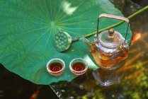Hochwinkelblick auf Glasteekanne, Tassen und grünes Blatt im Teich mit Goldfischen — Stockfoto