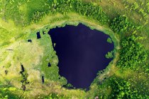 Luftaufnahme eines ruhigen, dunkelblauen Sees und frischer, sattgrüner Vegetation tagsüber — Stockfoto