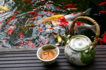 High angle view of tea set and goldfish swimming in pond — Stock Photo