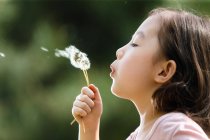 Adorable asiatique enfant souffler pissenlit à l'extérieur — Photo de stock