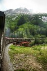 Поезд на Аляске — стоковое фото