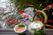 Selective focus of tea set and goldfish swimming in pond — Stock Photo