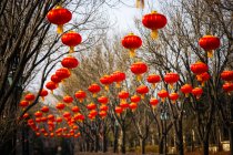 Traditionelle rote chinesische Laternen hängen über der Straße — Stockfoto