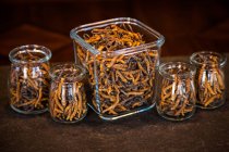 Vista de cerca de Cordyceps sinensis sano y seco en recipientes de vidrio - foto de stock