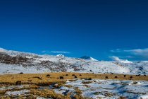 Удивительный пейзаж с заснеженными горами в Тибете — стоковое фото