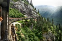 Il treno in Alaska — Foto stock
