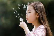 Adorable asian kid blowing dandelion outdoors — Stock Photo