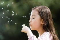Очаровательный азиатский ребенок, дующий одуванчик на открытом воздухе — стоковое фото