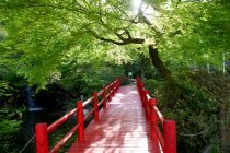 Erstaunliche Naturkulisse mit leerer roter Brücke — Stockfoto