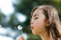 Чарівний азіатський дитина дме кульбабу на відкритому повітрі — стокове фото