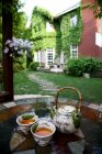 Vista de primer plano del juego de té de cerámica con hervidor de agua y tazas en la mesa en el patio trasero - foto de stock