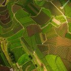 Vista aérea de belos campos agrícolas verdes durante o dia — Fotografia de Stock