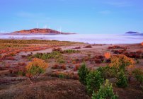 Increíble paisaje y aerogeneradores en Bashang, Hebei, China - foto de stock