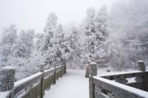 Heng Montagne dans la neige à Hengyang, province du Hunan, Chine — Photo de stock