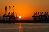 Équipe industrielle et navires dans le port au coucher du soleil, Shenzhen, Chine — Photo de stock
