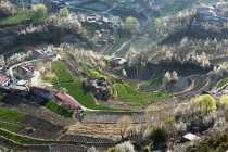 Aerial view of houses in Jinchuan County, Sichuan Province, China — Stock Photo