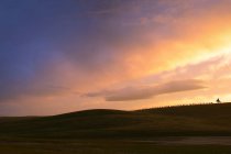 Traumhafte Landschaft mit malerischem Sonnenaufgang auf der Wiese — Stockfoto