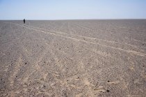 Person walking in desert, Lop Nor, Xinjiang, China — Stock Photo