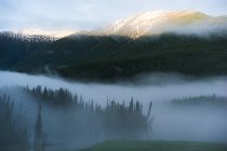 Schöne Landschaft mit Bergen im Nebel, Kanas, Xinjiang, China — Stockfoto
