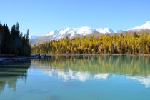 Hermoso lago Kanas, Xinjiang, China - foto de stock