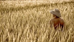 The farmer is in the rice field — Stock Photo