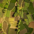 Luftaufnahme schöner grüner landwirtschaftlicher Felder bei Tag — Stockfoto